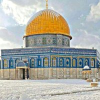 ىبَسْمَة مُصْطَفَى حِبَارَة (@basmatmust57606) 's Twitter Profile