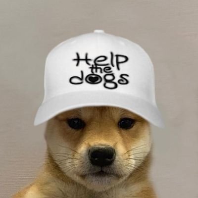 $wif hats, stickers and more @dogwifcoin. 

Help the dogs.