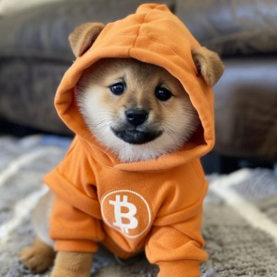 Next play: BULLISH ON RUNESTONE at 300M market cap.
Bitcoin's Dog flips DOGE, that's 100x. Simple plan: Top Dog on Top Blockchain
Bitcoin maxi. Get off zero.