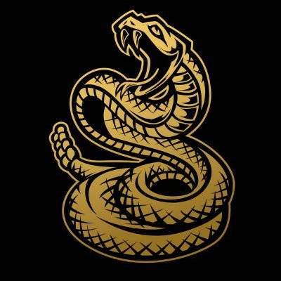 LIBERTÁRIO
🐍🟨⬛🇧🇷