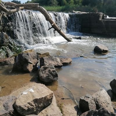 DintwaSlk's profile picture. We can wish We can dream, Together We can do anything. Proud Mosione 🙏🙏 Amakhosiiiii ✌️✌️