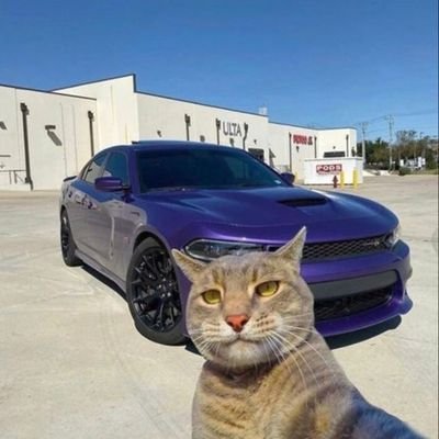 BeanardSean's profile picture. Crypto