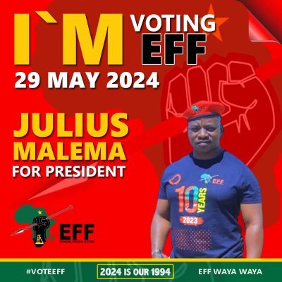 EFF voter & ground force