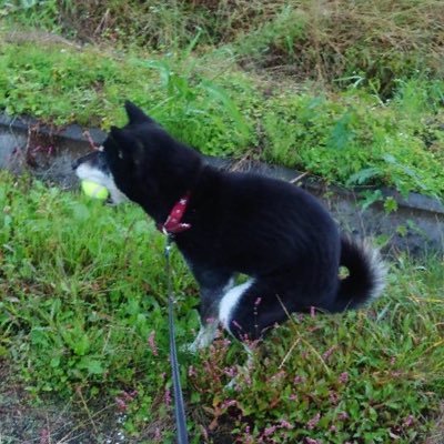 ryuichioyama's profile picture. 本 日本酒 ワイン コーヒー