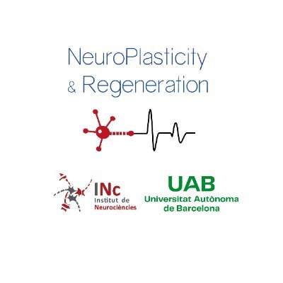 Group of NeuroPlasticity and Regeneration, from Institut de Neurociències, Universitat Autònoma de Barcelona.