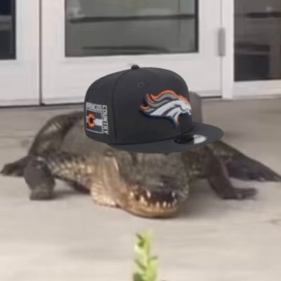 totheswamp Profile Picture