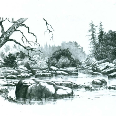 teme55626's profile picture. 