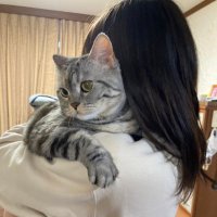 仁城怜菜 (@nijyorena) 's Twitter Profile