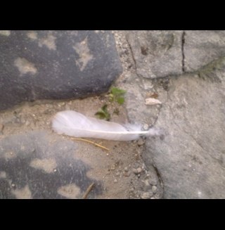 lisa_golikova's profile picture. 