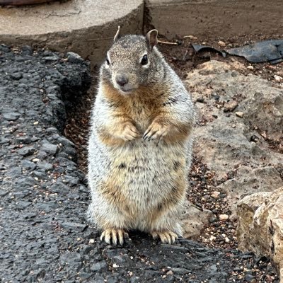 jothishgr's profile picture. 