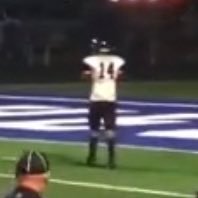 Veshion Arps Profile