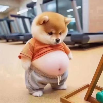 NguyenDung2901's profile picture. Place