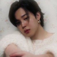 π₯» ππ«π²π¬β΅ (@crysflwrs) 's Twitter Profile