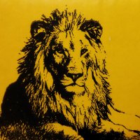 Adam Baker (@adambaker06011) 's Twitter Profile