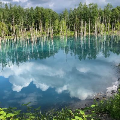 megumichan39340's profile picture. 北海道のとある田舎に住んでるイケメンが大好きなおばさんです🤣 俳優徳山秀典くん SixTONES京本大我くんのファンです❣️ 2022年4月から配信の特にリスナーをしています👀✨👂🏻