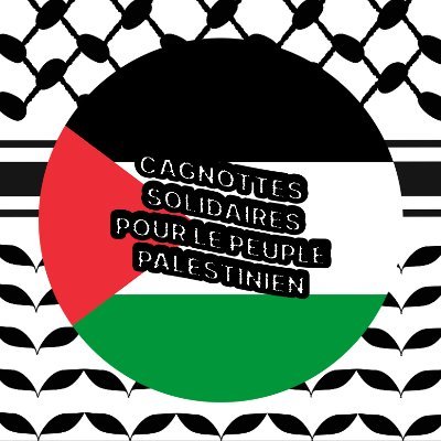 Ce compte a pour but de diffuser une liste des cagnottes de soutien aux palestinien·nes mise à jour autant que possible.