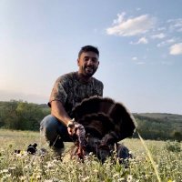 Josh ⚜️ (@joshtostado) 's Twitter Profile