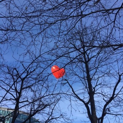 dearmydddd's profile picture. 