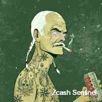 Zcash Sentinel (@zccashsentinel) 's Twitter Profile