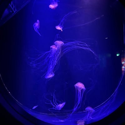 jin__0202's profile picture. ゲーム垢やけど雑多垢になりそうな予感