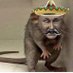 Ratata de Putino Hitlero (@theraticateUA) Twitter profile photo