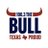 @TheBullHouston