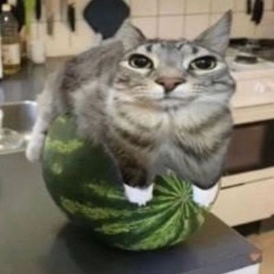 Za_rdy's profile picture. Huh