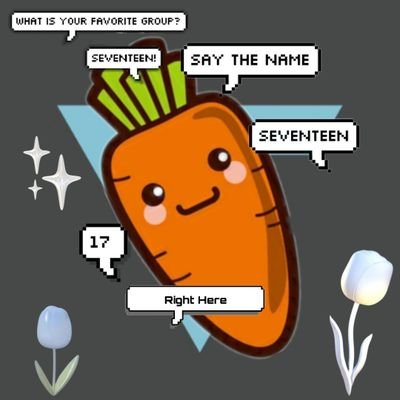 justacarot's profile picture. CARAT 🩷🩵💎 @pledis_17