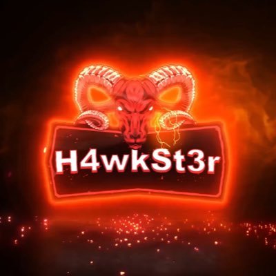 H4wkst3rS Profile Picture