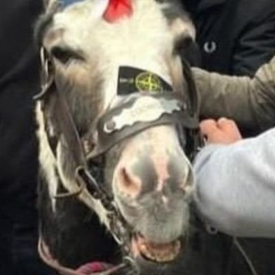 TomDan041558169's profile picture. 