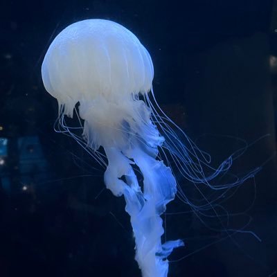 pinyaaaa2300's profile picture. 