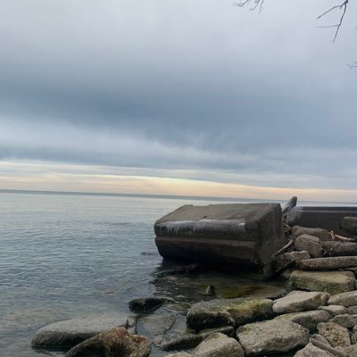 abby_sika91613's profile picture. 