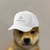 flex (@flex_eth) Twitter profile photo flex (@flex_eth) Twitter profile photo
