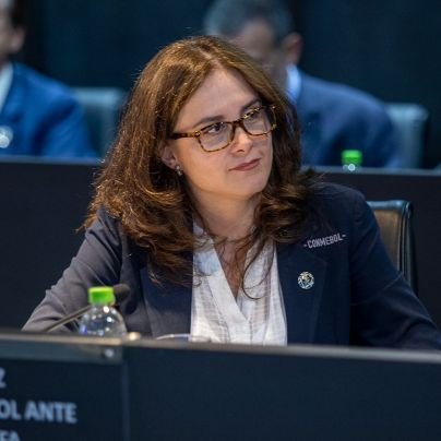 Representante de CONMEBOL ante el Consejo de FIFA. Consejo FEF 🇪🇨 2023-2027.  Opiniones personales.|
FIFA Council member. Views are my own.

#VivaElFutbol