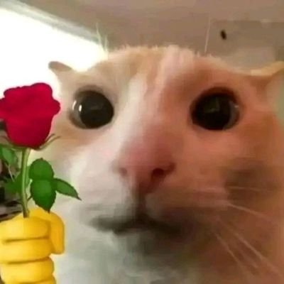 Inyoman02's profile picture. Mantan bawahan Ramon Salazar 🗿