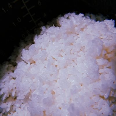 En idioma japonés, gohan significa arroz al vapor.
En la jerga nikkei se llama gohanera a la arrocera.
