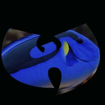 sponn_zach's profile picture. Patriot/Child of Our Savior Christ Jesus 🙏 Proud Trump supporter/From here on Positive Vibes only/No Discord/Jesus Is King