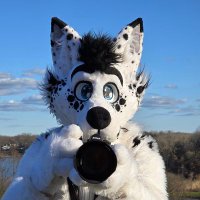 Arctic Winds Photos (@arcticwindphoto) 's Twitter Profile
