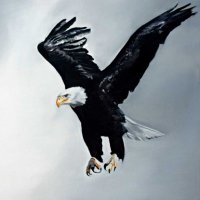 Sadik Bulut (@sadikbulut1944) 's Twitter Profile