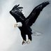 Sadik Bulut (@sadikbulut1944) Twitter profile photo Sadik Bulut (@sadikbulut1944) Twitter profile photo