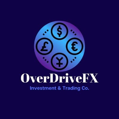 Director ejecutivo de la empresa de inversión y comercio Forex OverDriveFX