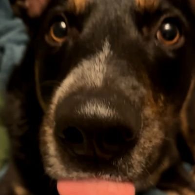 acam11's profile picture. f