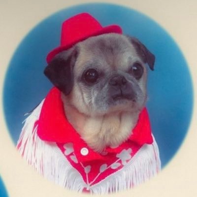 Lipstickcoverd's profile picture. nrma