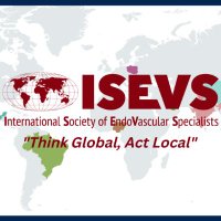 ISEVS(@ISEVSonline) 's Twitter Profile Photo