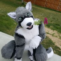 Xanmyr Parallax (@xanmyrparallax) 's Twitter Profile