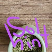 solhint community (@solhint) 's Twitter Profile