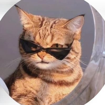 EcoVeloz's profile picture. 