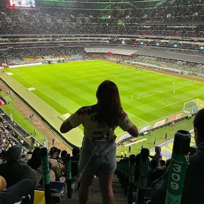 mi estabilidad emocional depende constantemente de 11 weyes peleando un balón 🤌🏼⚽️