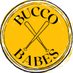 Bucco Babes (@BuccoBabes) Twitter profile photo