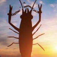 🔞BogusDoogus🔞 (@ooogusboogus) 's Twitter Profile Photo 🔞BogusDoogus🔞 (@ooogusboogus) 's Twitter Profile Photo